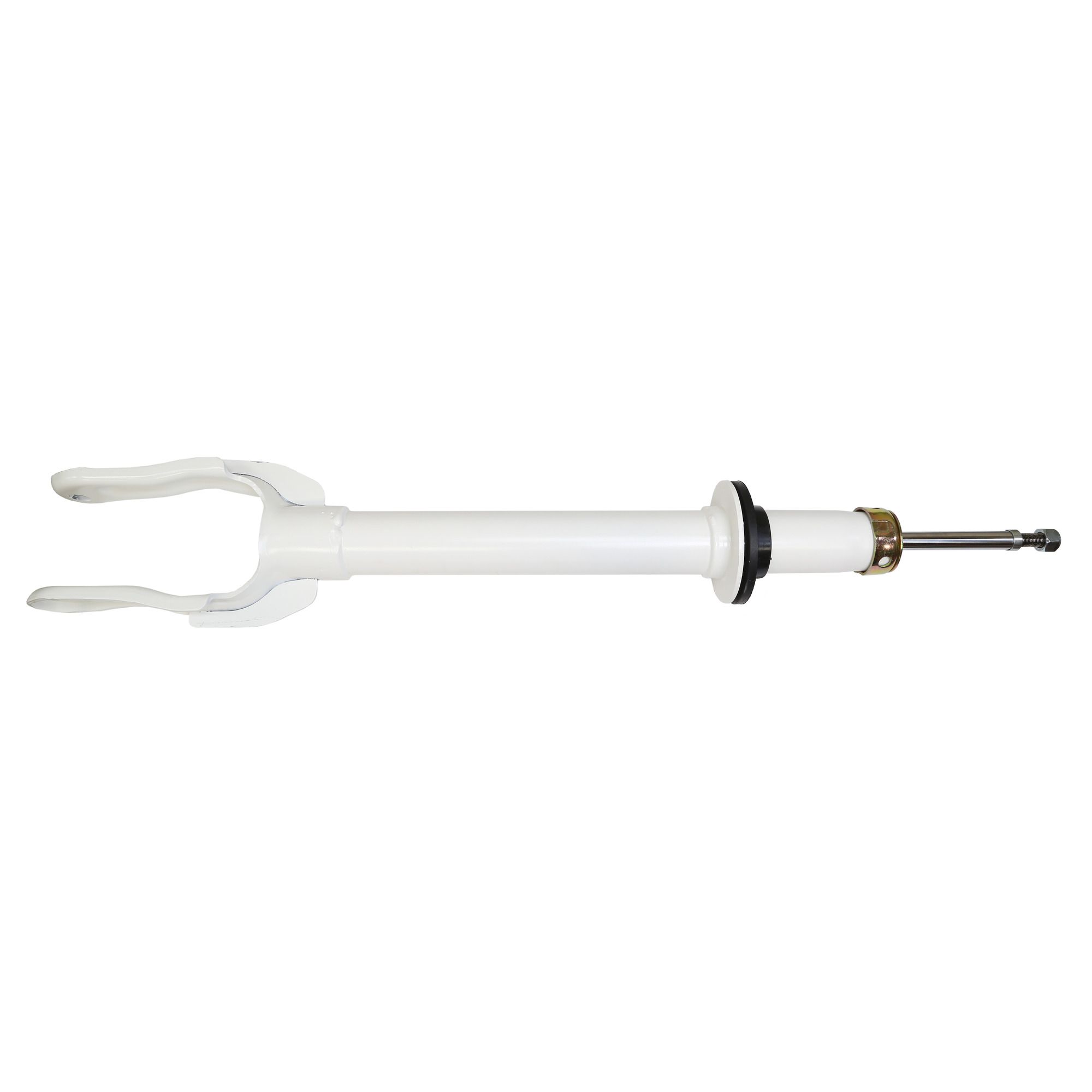RS5000X Strut